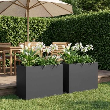 Vaso da giardino 2 pz Nero 60 x 30 x 40 cm