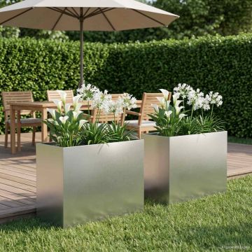 Vaso da giardino 2 pz Argento 60 x 30 x 50 cm Acciaio Inox