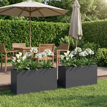 Vaso da giardino 2 pz Antracite 100 x 30 x 40 cm