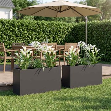 Vaso da giardino 2 pz Nero 100 x 30 x 50 cm