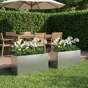 Vaso da giardino 2 pz Argento 100 x 30 x 50 cm Acciaio zincato