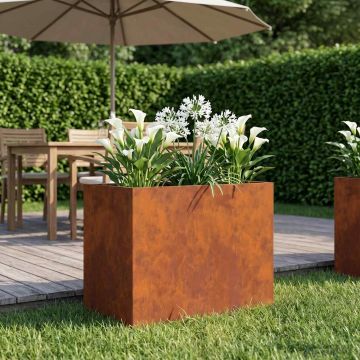 Vaso da giardino Ruggine 50 x 40 x 50 cm Acciaio Corten