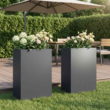 Vaso da giardino 2 pz Antracite 50 x 40 x 75 cm