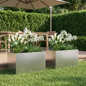 Vaso da giardino 2 pz Argento 60 x 40 x 40 cm Acciaio Inox