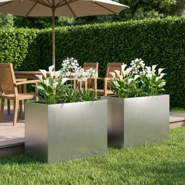 Vaso da giardino 2 pz Argento 60 x 40 x 50 cm Acciaio Inox