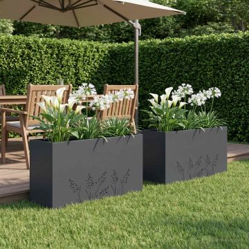 Vaso da giardino 2 pz Antracite 100 x 30 x 49 cm