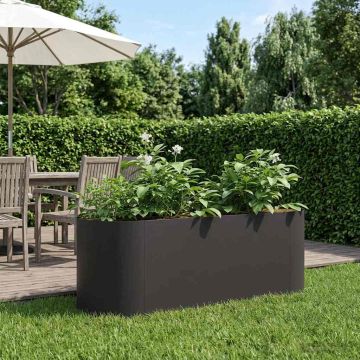 Letto rialzato da giardino Nero 120 x 40 x 40 cm Acciaio
