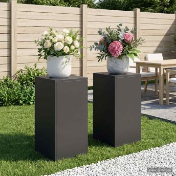 Supporto per piante 2 pcs Nero 30 x 30 x 60 cm Acciaio