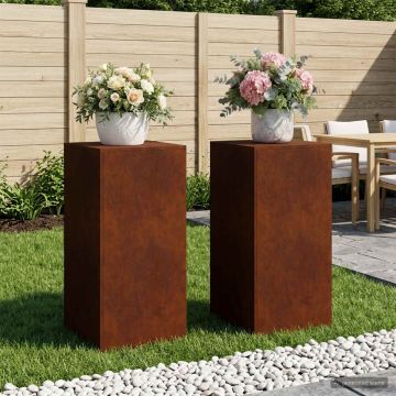Supporto per piante 2 pcs Ruggine 40 x 40 x 80 cm