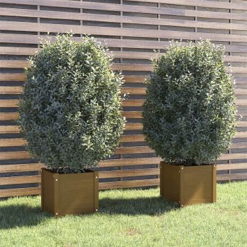 Fioriere 2 pz Ambra 40x40x81 cm in Legno Massello di Pino