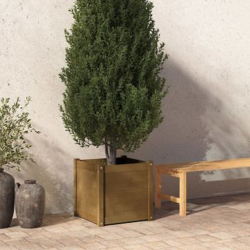 Fioriera Giardino Marrone Ambra 50x50x50 cm Legno Massello Pino