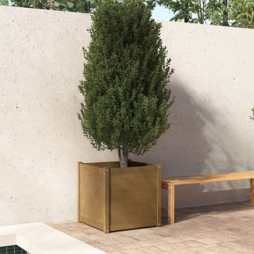 Fioriera Giardino Marrone Ambra 60x60x60 cm Legno Massello Pino