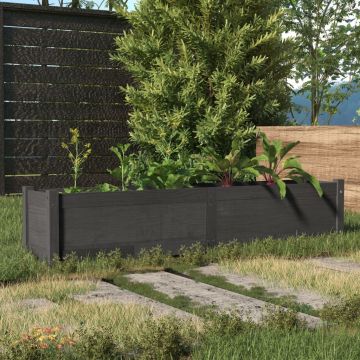 Letto Rialzato da Giardino Grigio 150x31x31 cm Massello di Pino