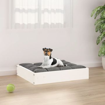 Cuccia per Cani Bianca 51,5x44x9 cm in Legno Massello di Pino