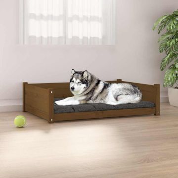 Cuccia per Cani Ambra 105,5x75,5x28cm in Legno Massello di Pino