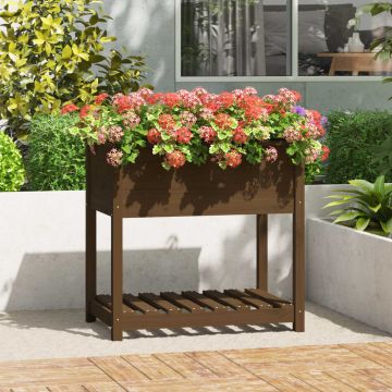 Fioriera con Mensola Ambra 82,5x54x81 cm in Legno Massello Pino