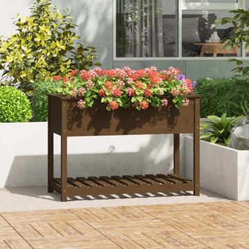 Fioriera con Mensola Ambra 111,5x54x81cm in Legno Massello Pino