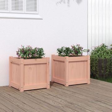 Fioriere da Giardino 2 pz in Legno Massello di Douglas