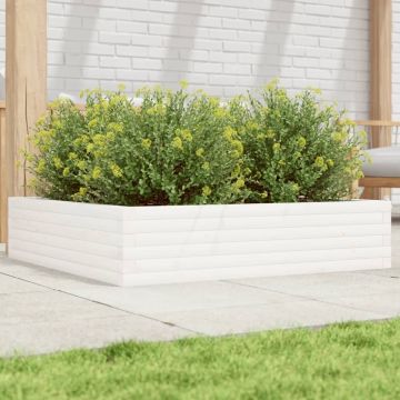 Fioriera da Giardino Bianca 100x100x23 cm Legno Massello Pino