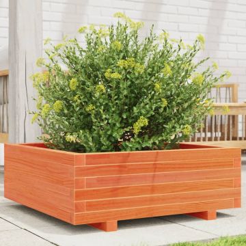 Fioriera Giardino Marrone Cera 70x70x26,5cm Legno Massello Pino