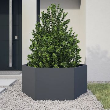Fioriera da Giardino Antracite Esagono 104x90x45 cm in Acciaio