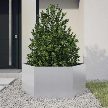 Fioriera da Giardino Esagono 104x90x45 cm in Acciaio Zincato