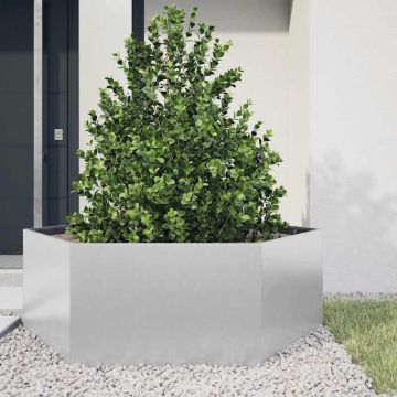 Fioriera da Giardino Esagono 138x120x45 cm in Acciaio Zincato