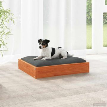 Letto per Cani Marrone cerato 51,5 x 44 x 9 cm