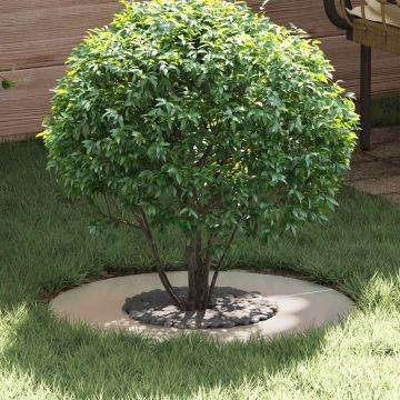 adatto per Anello d'Albero Piatto Argento Ø30/60 cm