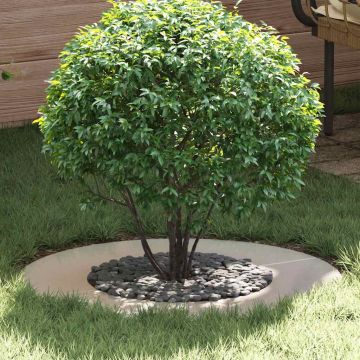 adatto per Anello d'Albero Piatto Argento Ø40/70 cm