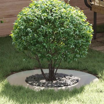 adatto per Anelli d'Albero Piatto 5 pz Argento Ø40/70 cm