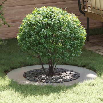 adatto per Anelli d'Albero Piatto 5 pz Argento Ø50/80 cm