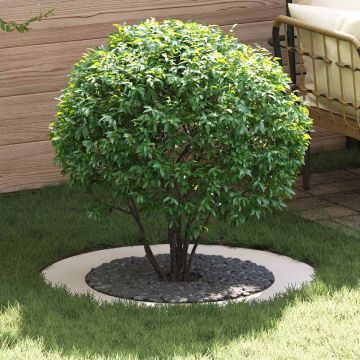 adatto per Anello d'Albero Piatto Bianco Ø60/90 cm Acciaio