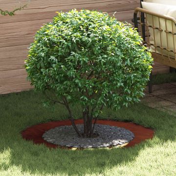 adatto per Anello d'Albero Piatto Ruggine Ø60/90 cm