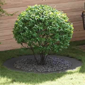 adatto per Anelli d'Albero Piatto 5 pz Nero Ø90/120 cm Acciaio