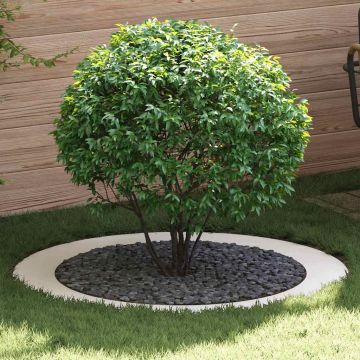 adatto per Anelli d'Albero Piatto 5 pz Bianco Ø90/120 cm