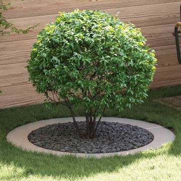 adatto per Anelli d'Albero Piatto 5 pz Argento Ø90/120 cm