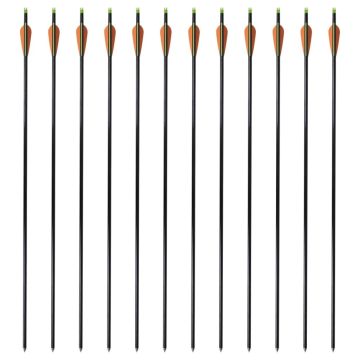 Frecce per Arco Composito Standard 12 pz 30" 0,8 cm Fibra Vetro