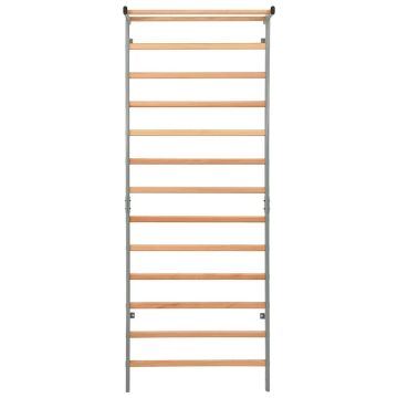 Set Arrampicata per Ginnastica per Interni 90x30x236 cm